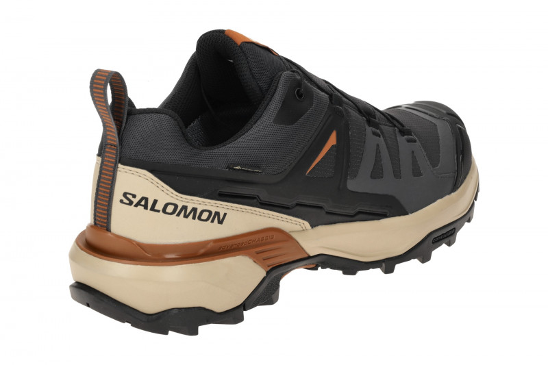 Salomon X Ultra 360 GTX Schuhe grau phantom GORE-TEX 476870
