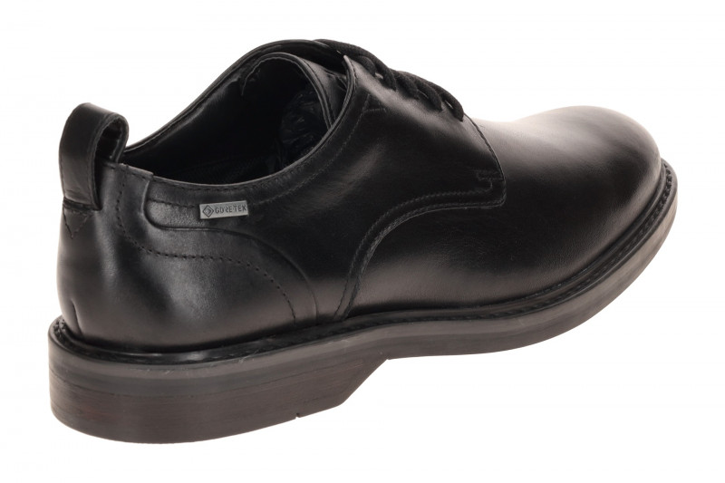 Clarks Aldwin Lace Schuhe schwarz GORE-TEX 26183253