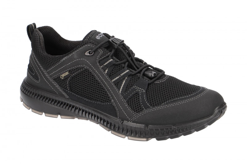 Ecco TerraCruise 2 Schuhe schwarz Gore-Tex 843033