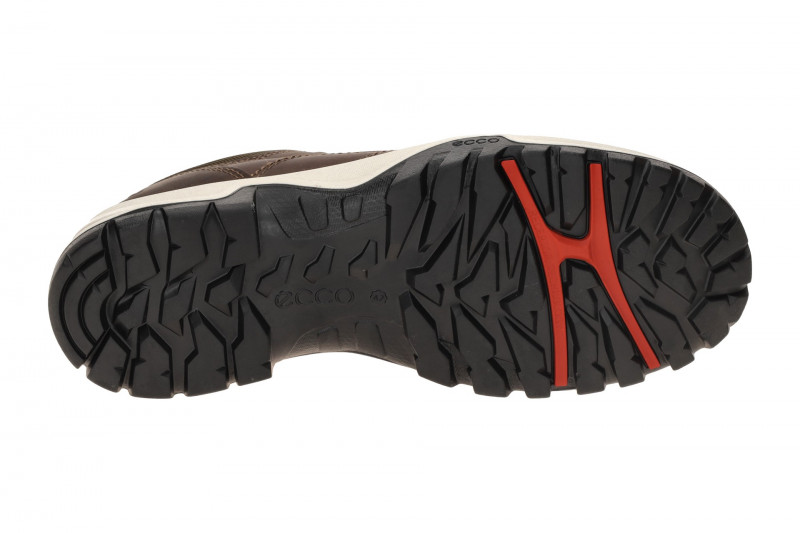 Ecco Xpedition 3 Schuhe braun Herren Waterproof