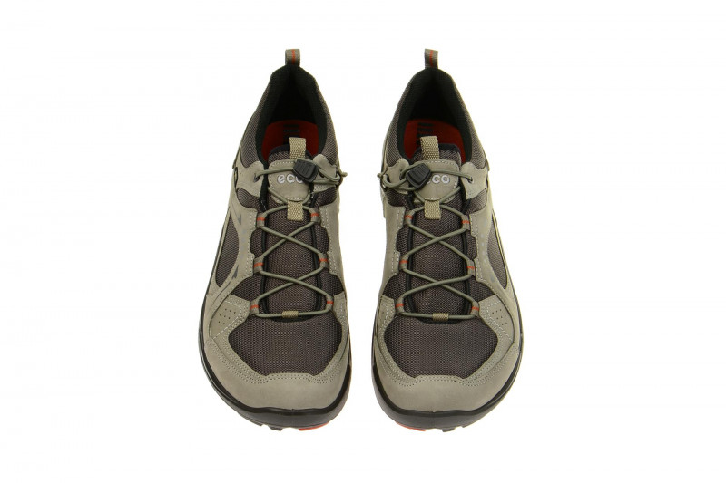Ecco TerraCruise Schuhe grau GORE-TEX 84106458716