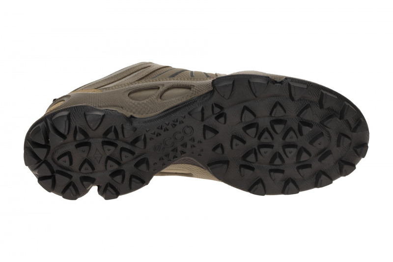 Ecco Biom C-Trail Schuhe taupe grau Herren Running GORE-TEX 803464