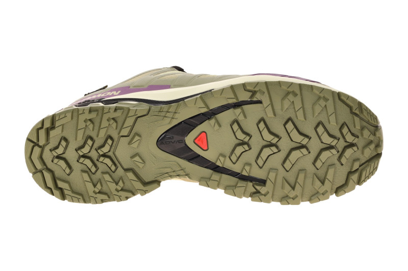 Salomon XA Pro 3D V9 Schuhe Damen grün lila GORE-TEX 491458