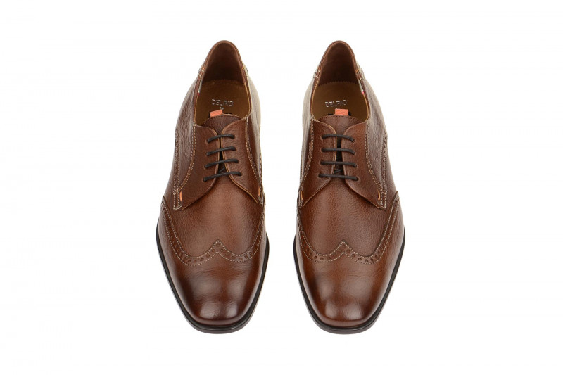 Lloyd Delrio Schuhe braun 16-052-02