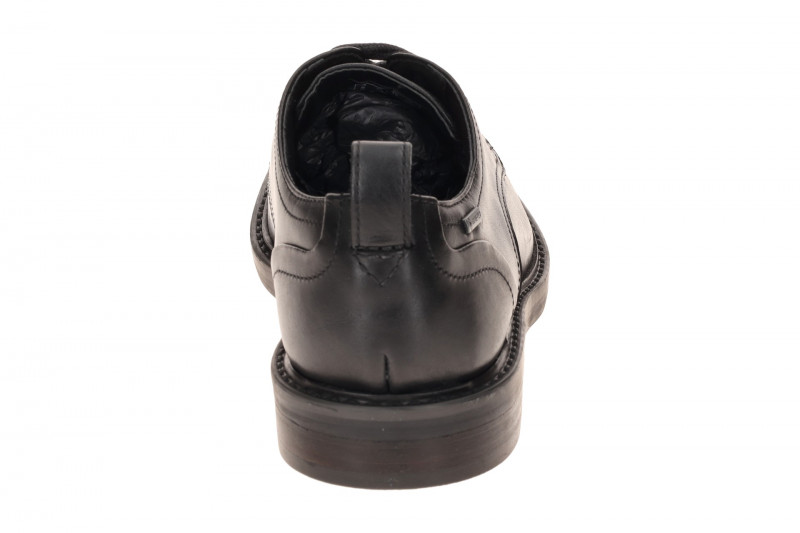 Clarks Aldwin Lace Schuhe schwarz GORE-TEX 26183253