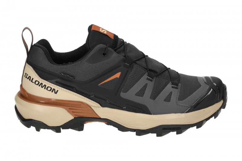 Salomon X Ultra 360 GTX Schuhe grau phantom GORE-TEX 476870