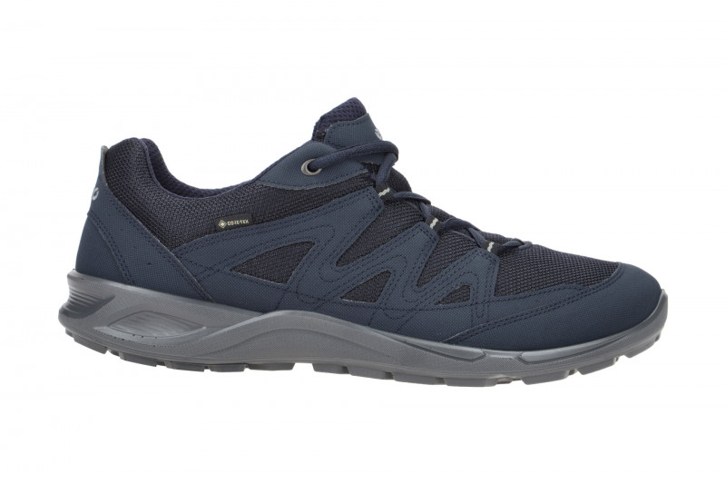 Ecco TerraCruise LT Herren Schuhe blau GORE-TEX