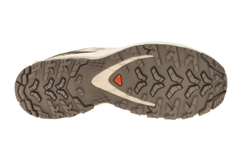 Salomon XA Pro 3D V9 Lifelong Schuhe beige Damen 491539