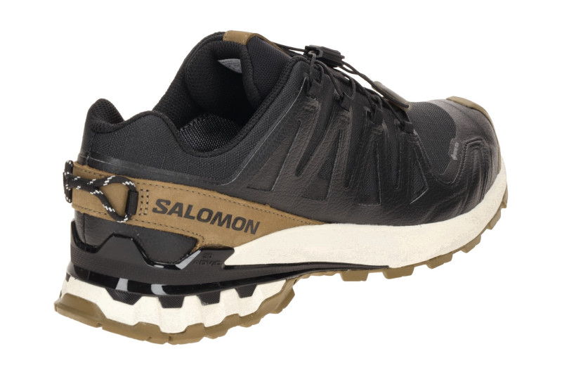Salomon XA Pro 3D V9 Lifelong Schuhe schwarz braun GORE-TEX 479638