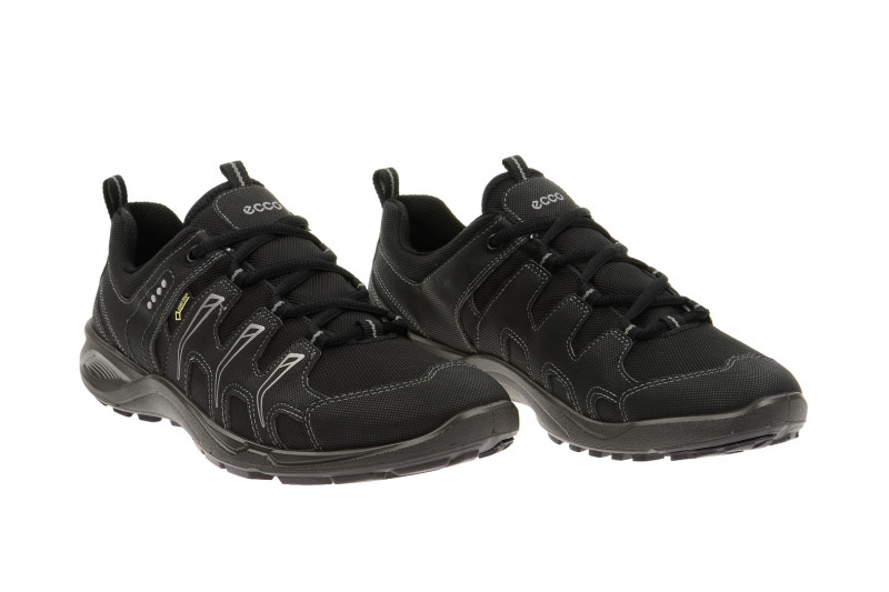 Ecco TerraCruise schwarz 84104351052