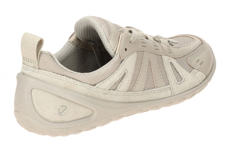 Ecco Biom Lite Schuhe grau gravel Damen 802433