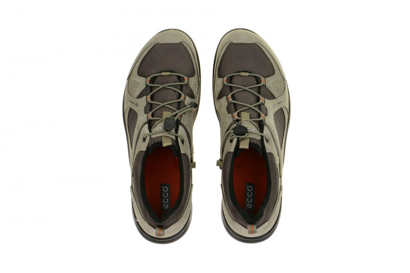 Ecco TerraCruise Schuhe grau GORE-TEX 84106458716