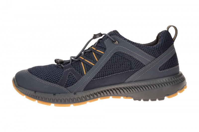 Ecco TerraCruise Schuhe blau Herren GORE-TEX