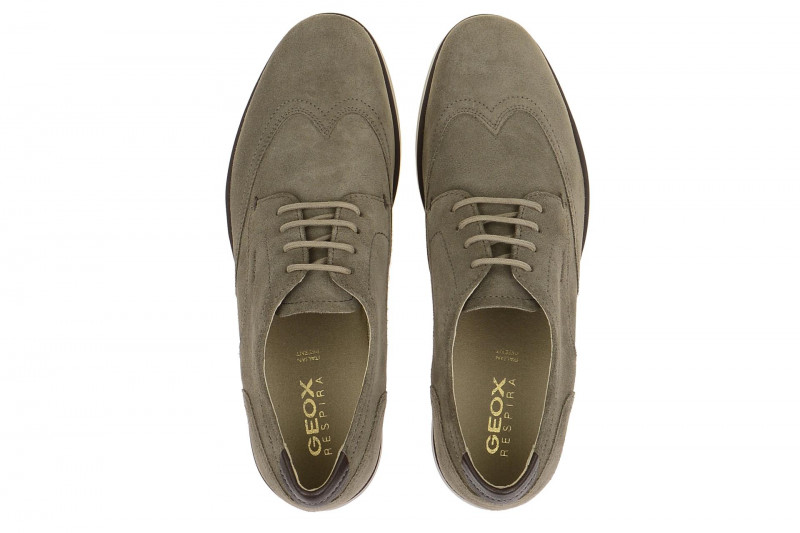 Geox Danio Schuhe grau taupe U620TA