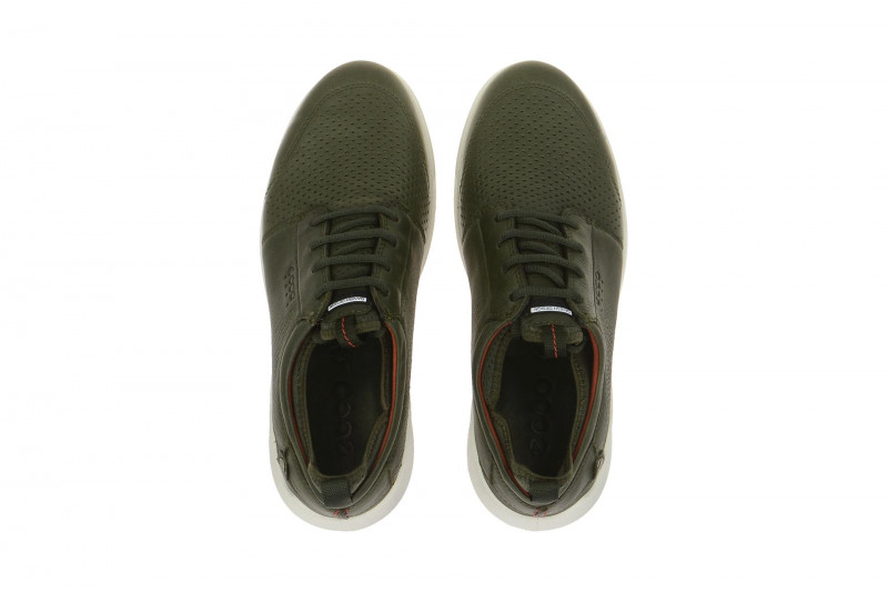 Ecco Transit Schuhe grün Herren Sneaker