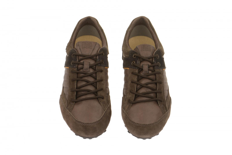 Geox Respira Snake B Sneakers in braun + dunkelbraun