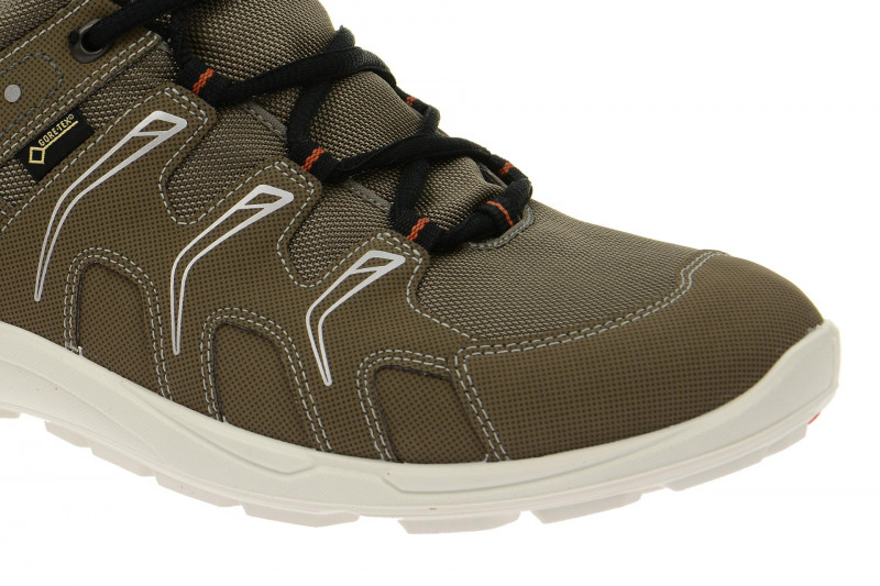 Ecco TerraCruise GTX Schuhe grau 84104459927