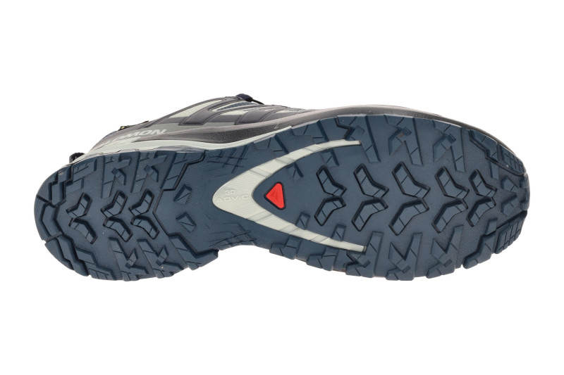 Salomon XA Pro 3D V9 Schuhe blau grau GORE-TEX 491992