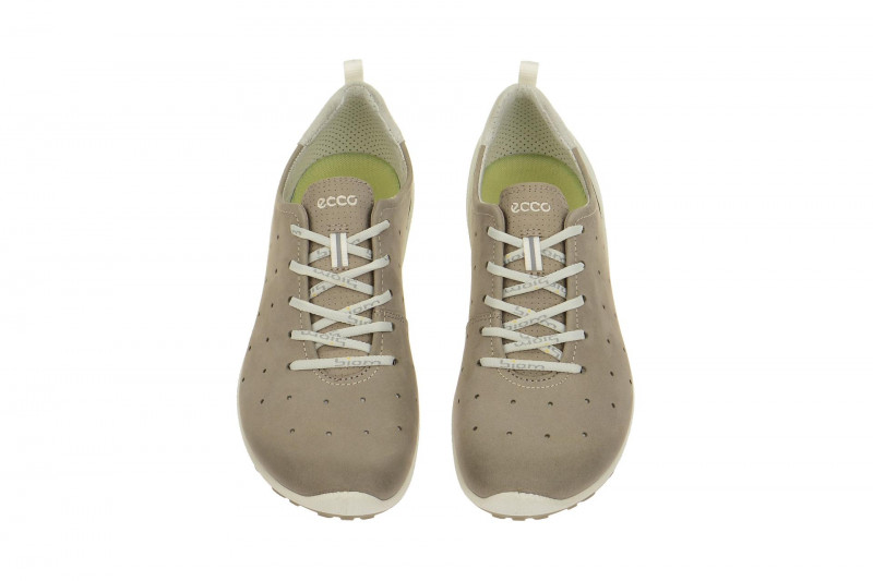 Ecco Biom Lite Schuhe grau 80200358664