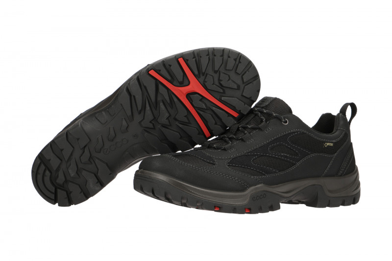 Ecco Xpedition Schuhe schwarz Herren GORE-TEX