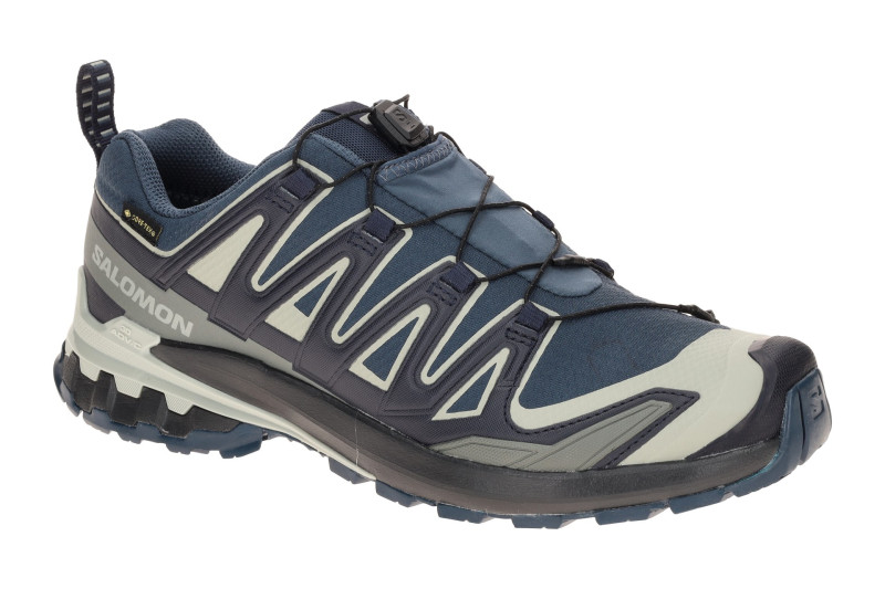 Salomon XA Pro 3D V9 Schuhe blau grau GORE-TEX 491992