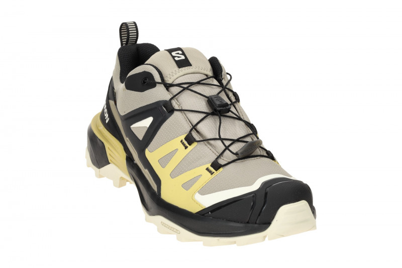Salomon X Ultra 360 GTX Schuhe grau schwarz GORE-TEX 474536
