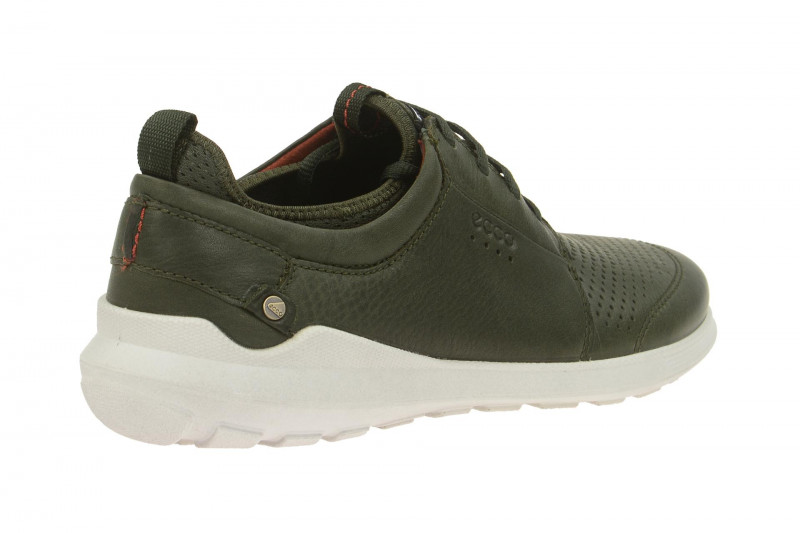 Ecco Transit Schuhe grün Herren Sneaker