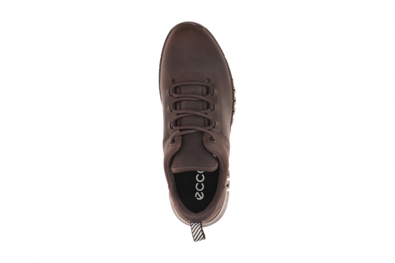 Ecco Gruuv Schuhe braun mocha Sneakers GORE-TEX 525224