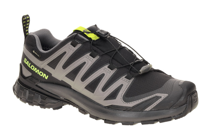 Salomon XA Pro 3D V9 Schuhe schwarz grau GORE-TEX 479873