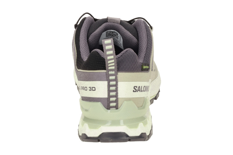 Salomon XA Pro 3D V9 Schuhe Damen grau beige GORE-TEX 477447