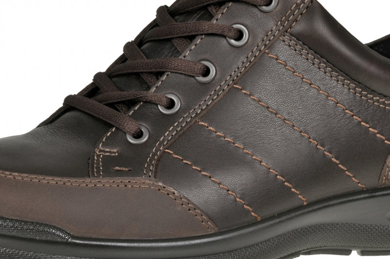 Ecco Remote Schuhe coffee dunkelbraun Gore-Tex 52100451869