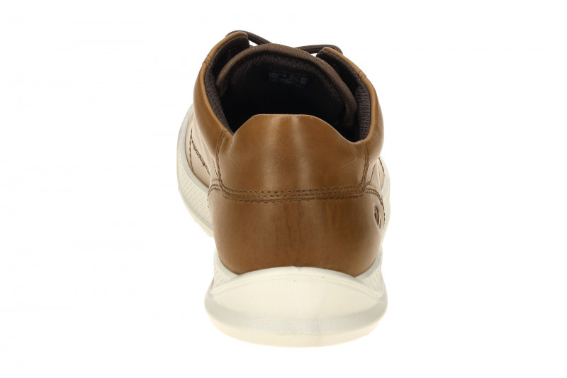 Ecco Byway Schuhe braun camel Oxford 501674