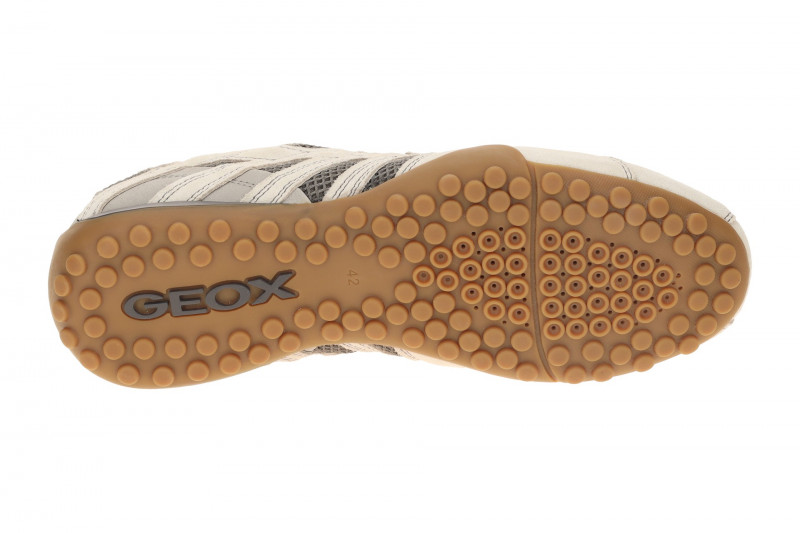 Geox Snake Schuhe hellgrau sand U55MNA