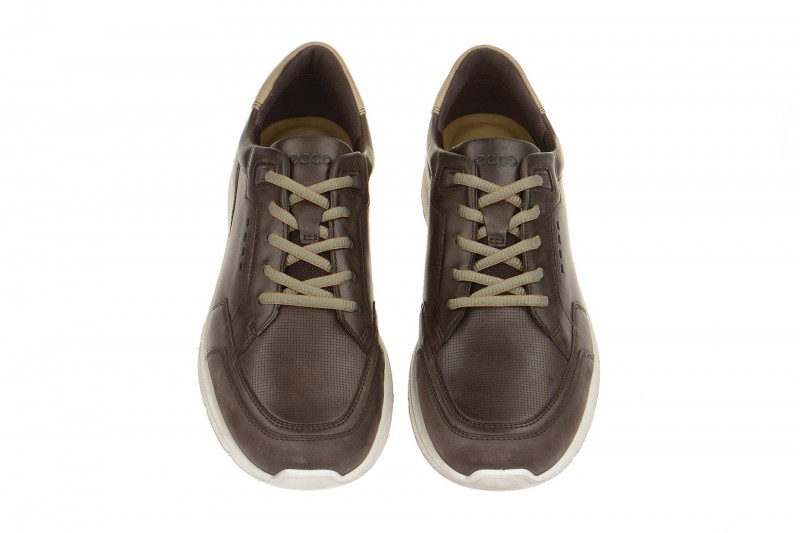 Ecco Irondale Schuhe braun 50319451869