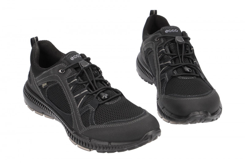 Ecco TerraCruise 2 Schuhe schwarz Gore-Tex 843033