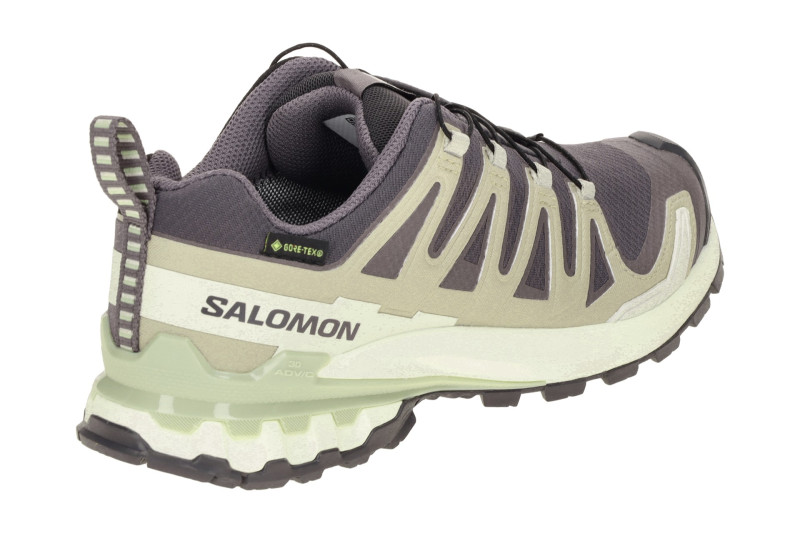 Salomon XA Pro 3D V9 Schuhe Damen grau beige GORE-TEX 477447