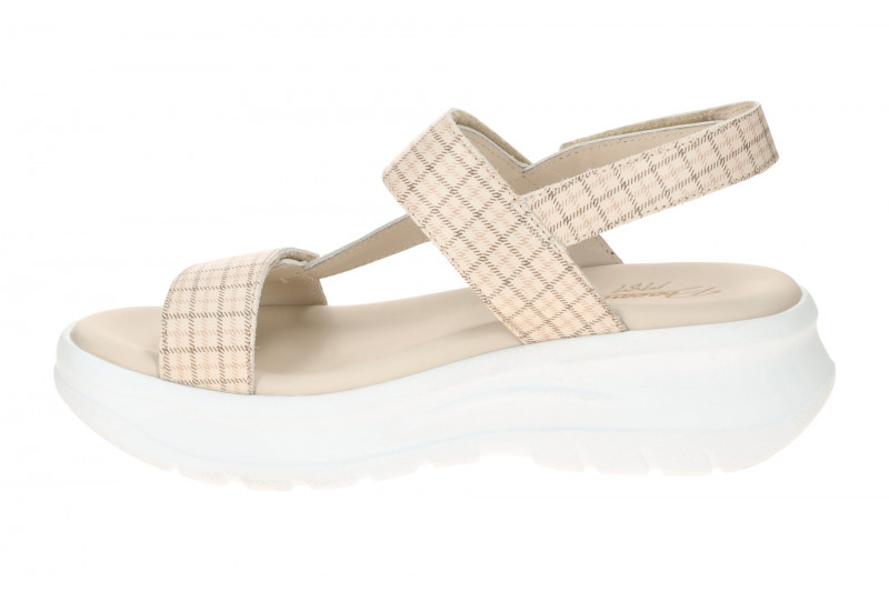 Panama Jack Noor Plaid B1 Sandale beige Nappa