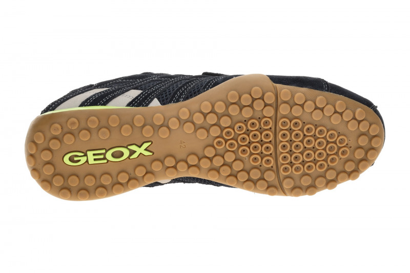 Geox Snake Schuhe dunkelblau neon grün U55MNA