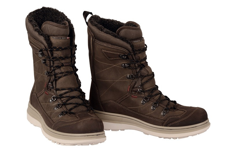 Ecco Roxton Stiefel braun Gore-Tex 532044