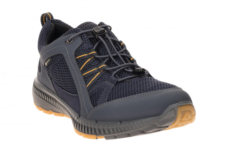 Ecco TerraCruise Schuhe blau Herren GORE-TEX