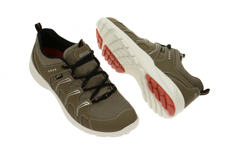Ecco TerraCruise GTX Schuhe grau 84104459927