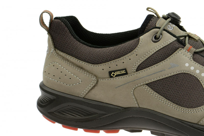 Ecco TerraCruise Schuhe grau GORE-TEX 84106458716